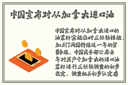 沈阳老阿姨最后的巅峰